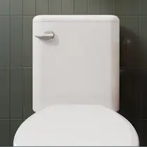 Botão P/ Caixa Acoplada C/ Acionamento Frontal 9587